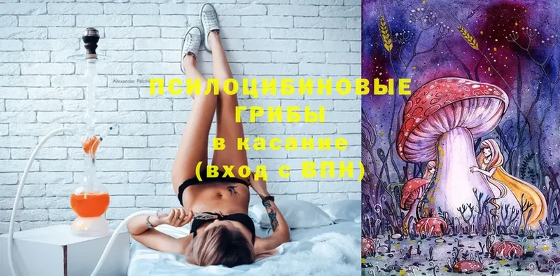 Псилоцибиновые грибы Psilocybine cubensis  Ставрополь 