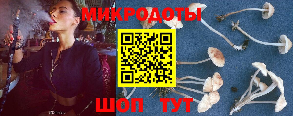 закладки  Вход с VPN  Ставрополь  Галлюциногенные грибы прущие грибы 