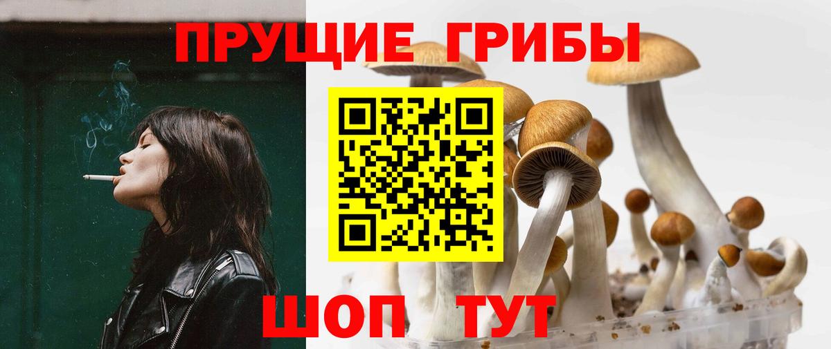 Галлюциногенные грибы прущие грибы Ставрополь