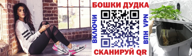 Каннабис гибрид  Ставрополь 